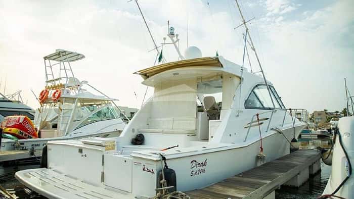 DIRAK 13m motor yacht charter, photo 4