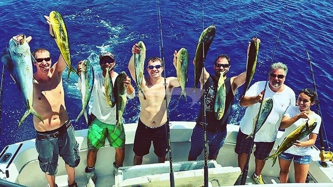 Fishing Dolphin / Mahi Mahi