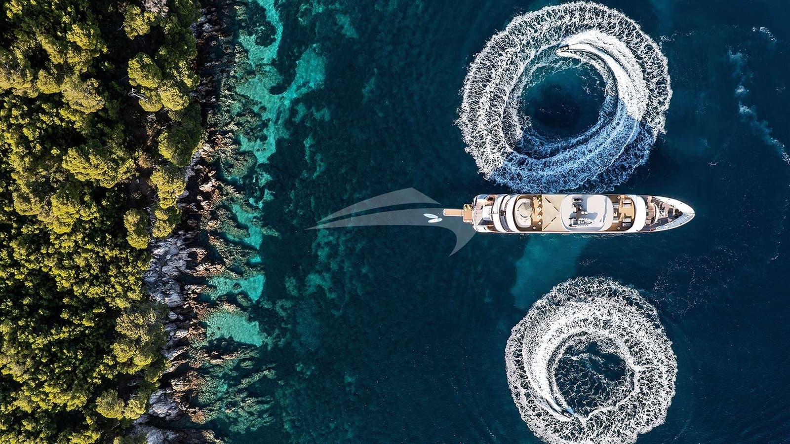 BLACK SWAN, photo from the yacht portfolio 15