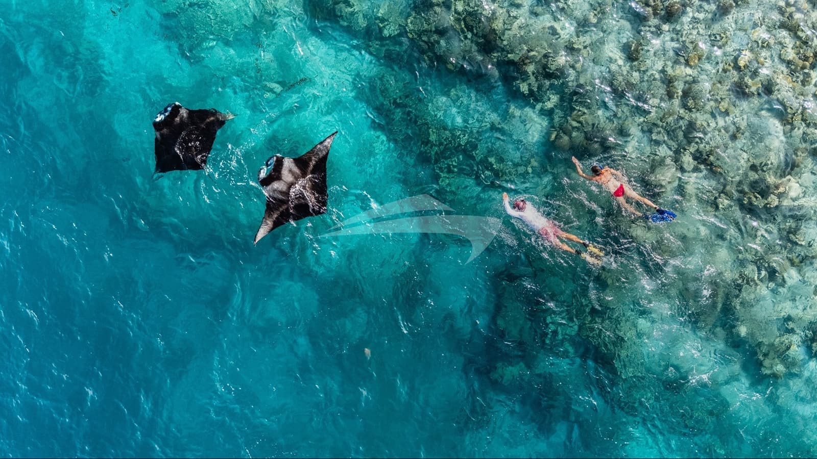 OVER REEF, Aufnahme aus dem Yachtportfolio 23