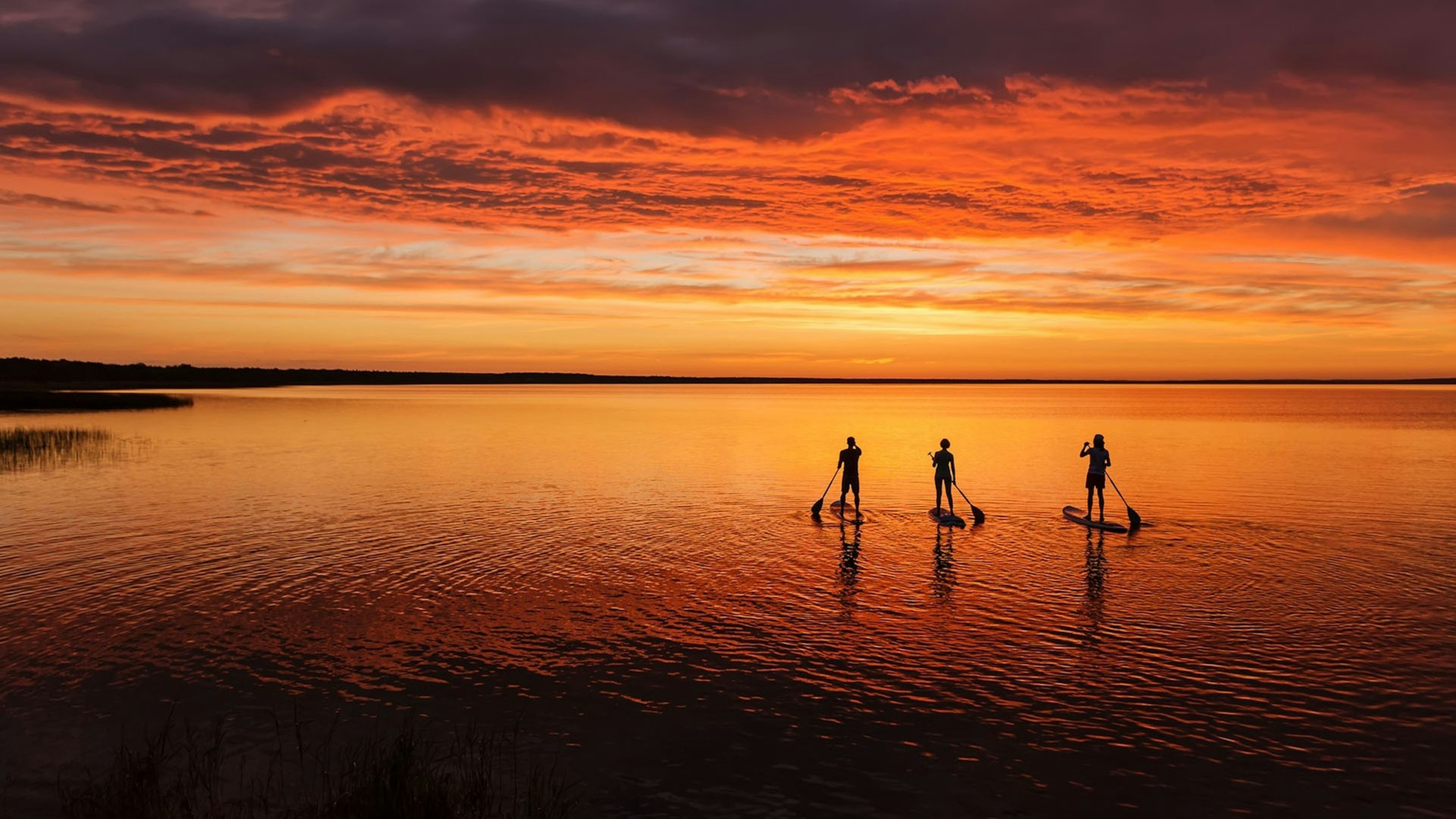 Sup surfing under amazing dark sunset sky with three people