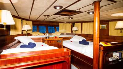 Guest Cabin