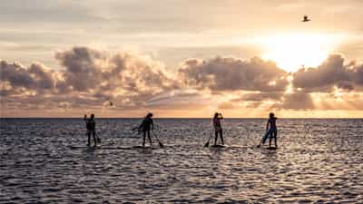 Fun on the paddle boards