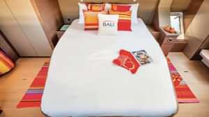 Guest Cabin