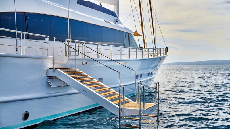 ACAPELLA Swim Ladder