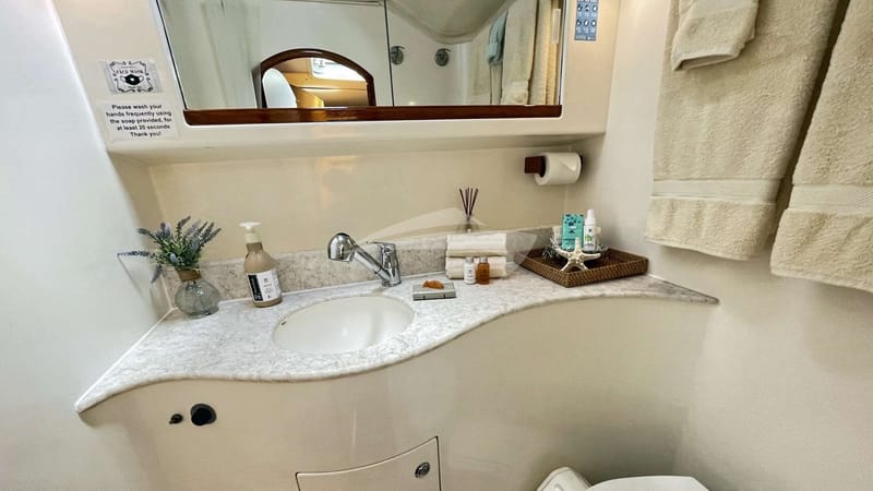 Guest head and shower