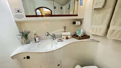 Guest head and shower