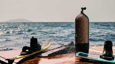 Swim Platform and Toys