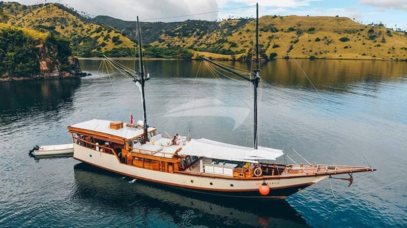 SAMARA II, Motor