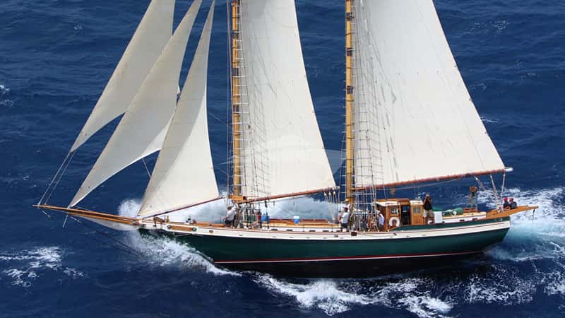 TREE OF LIFE 28m sailing yacht charter