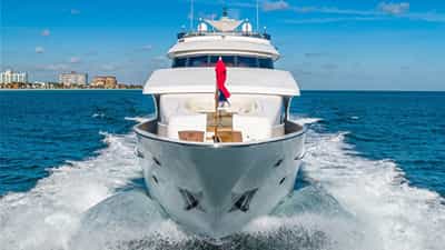 SCOTT FREE, bow
