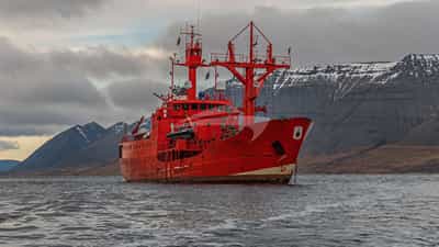 At Anchor