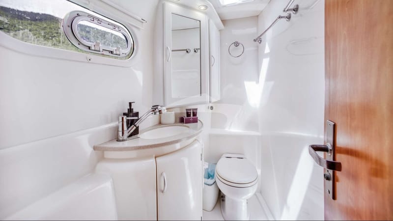 Guest head and shower