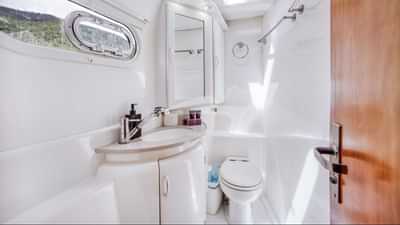 Guest head and shower