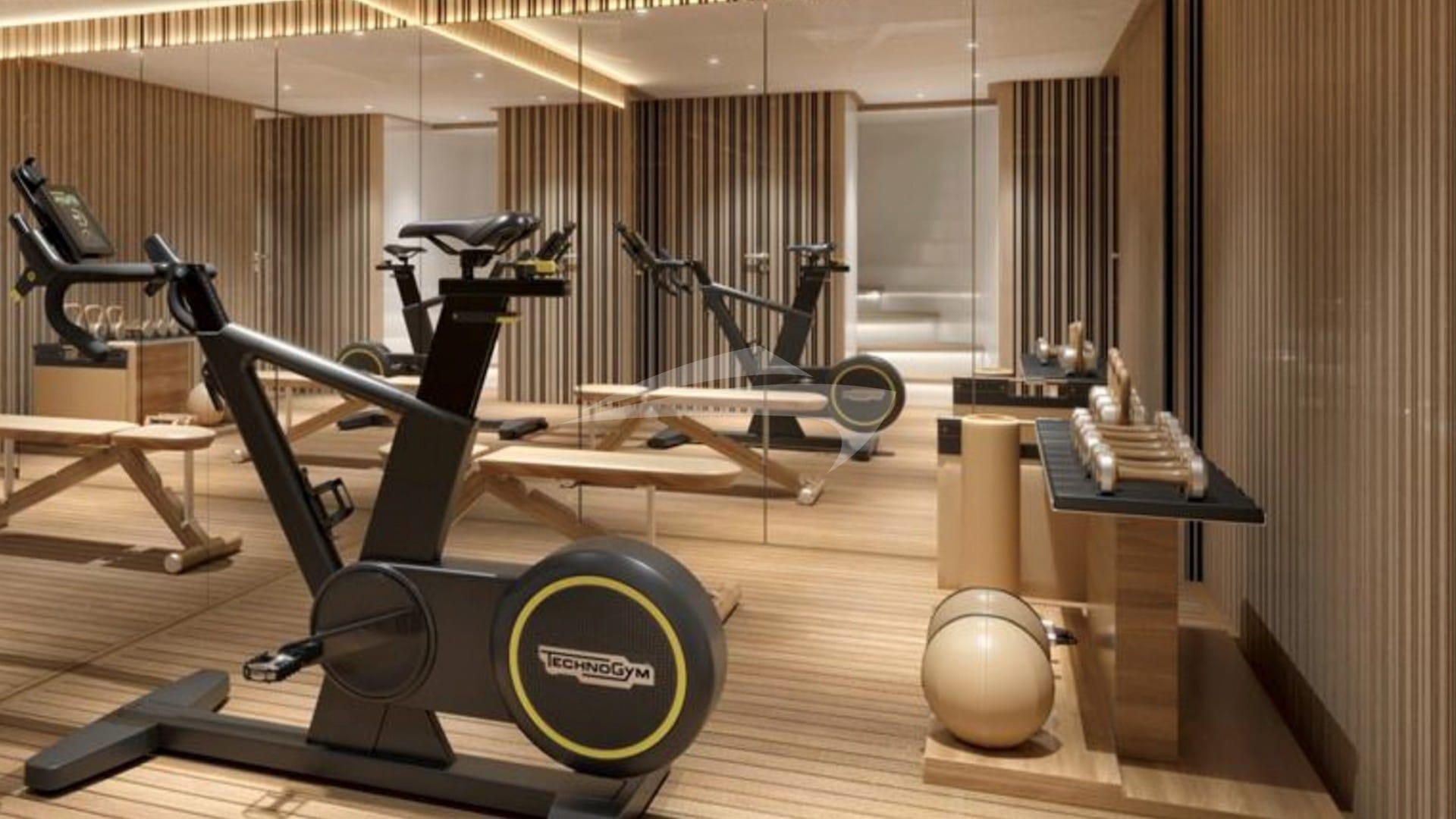 Gym and Steam Room
