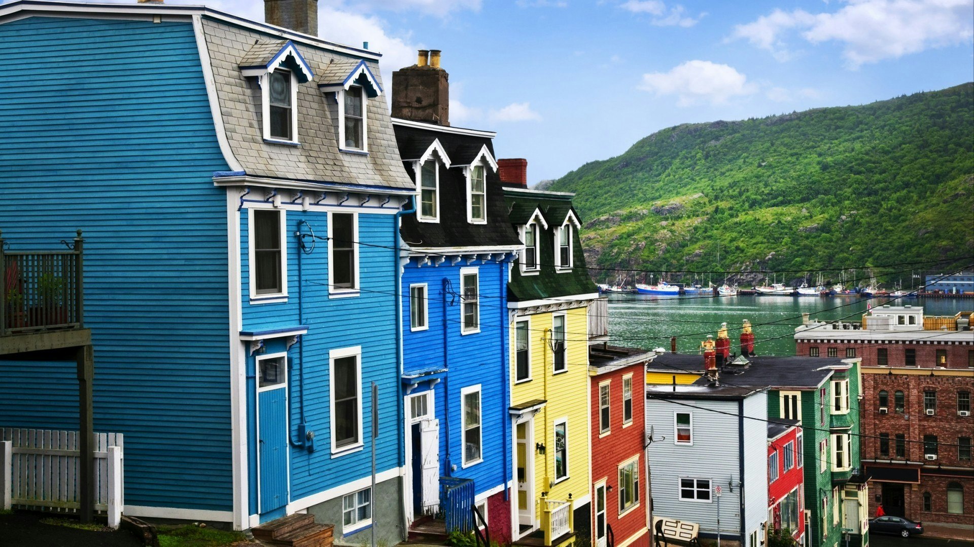 Street with colourful houses near ocean in St. John's