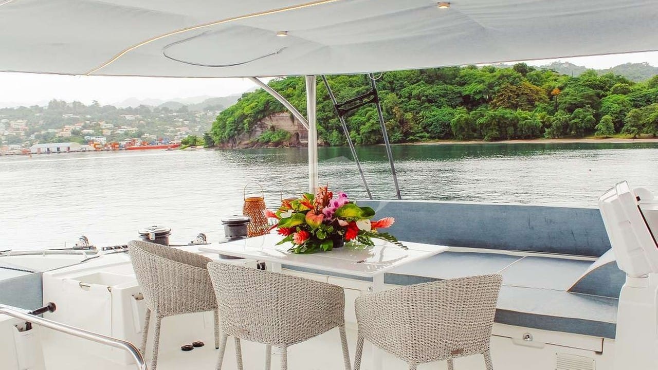 Covered flydeck under custom double canvas bimini