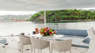 Covered flydeck under custom double canvas bimini