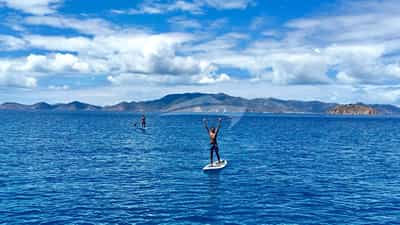 Paddle boards