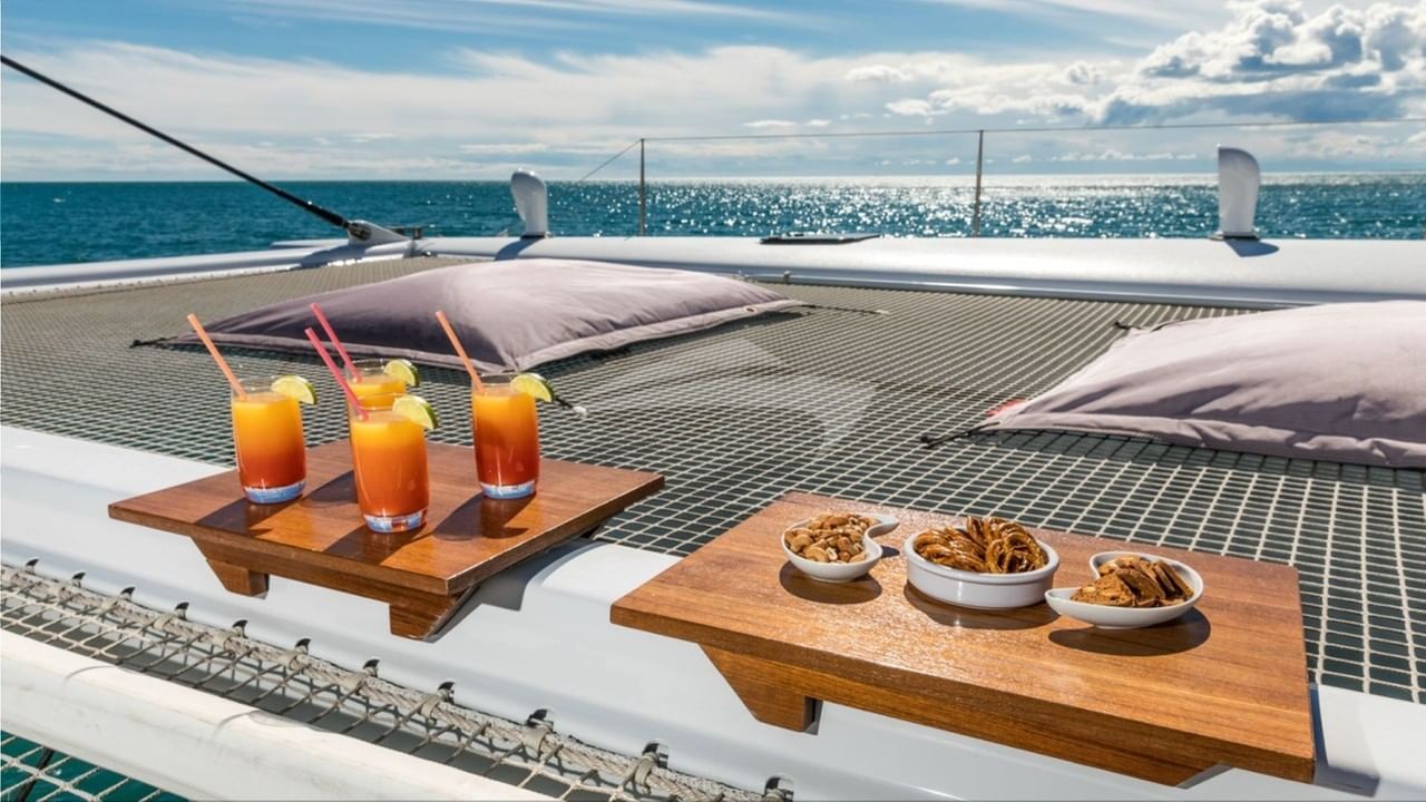 MAGIC CAT - Lifestyle