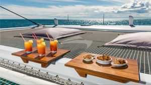 MAGIC CAT - Lifestyle