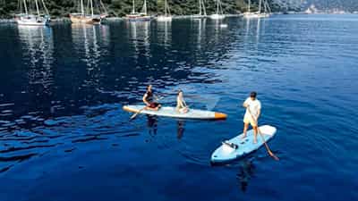 Paddleboards