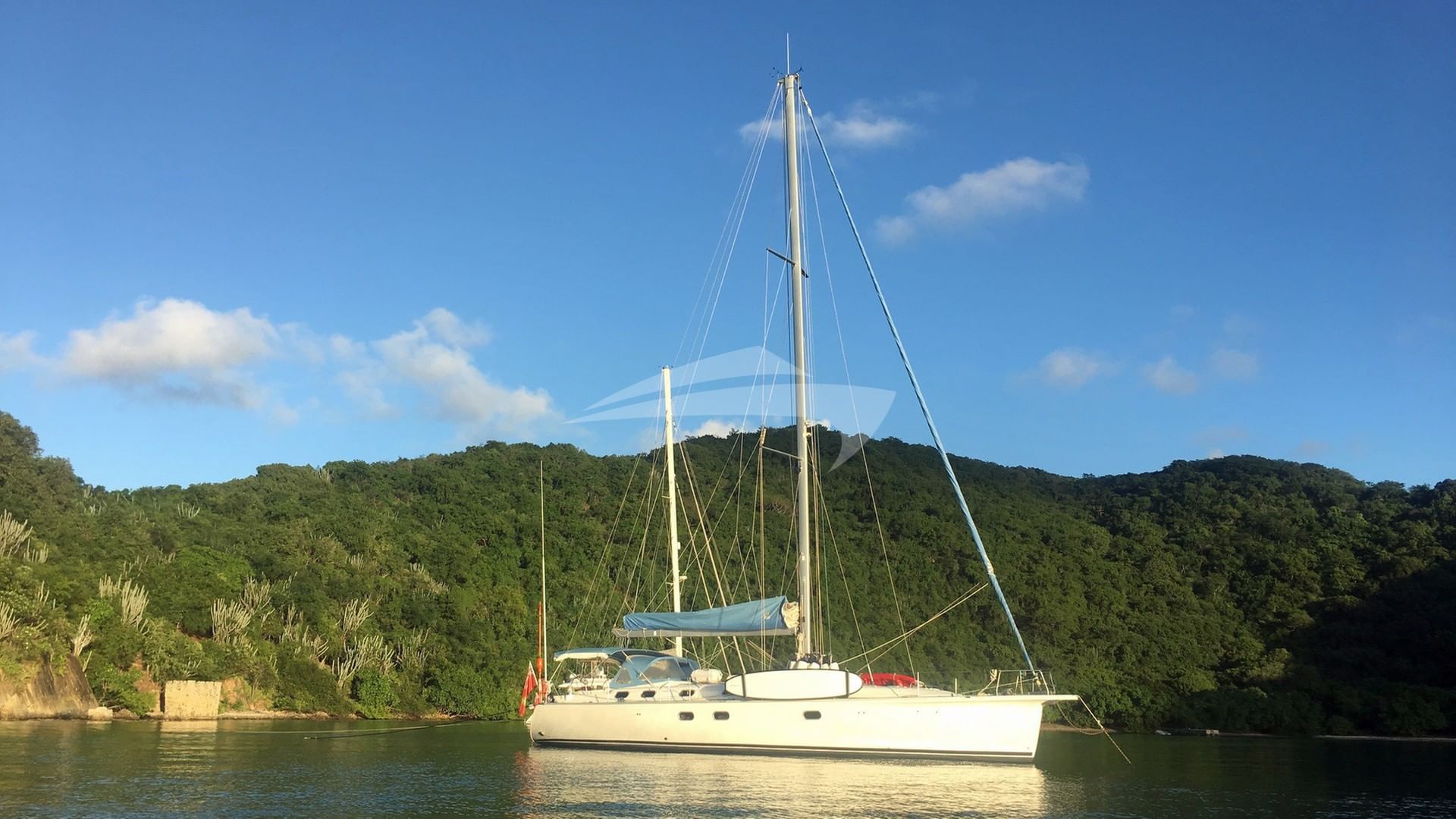 Nemo at Peter Island