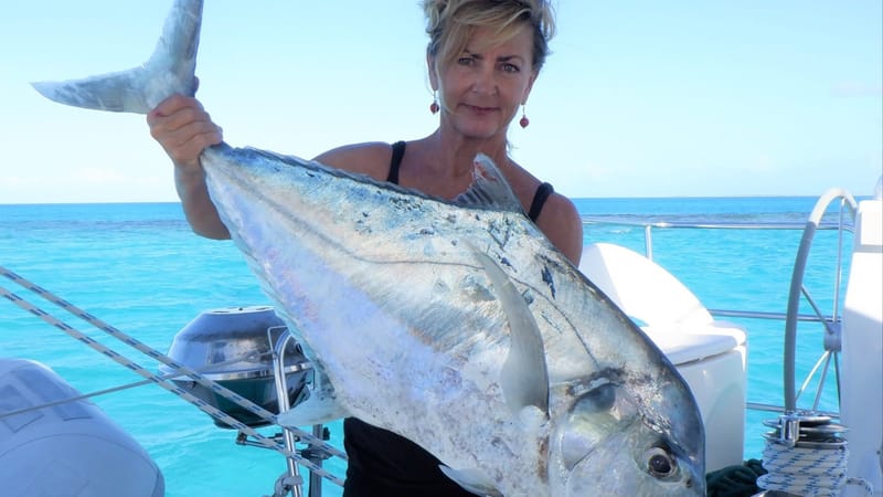 GENESIS Fresh Catch!