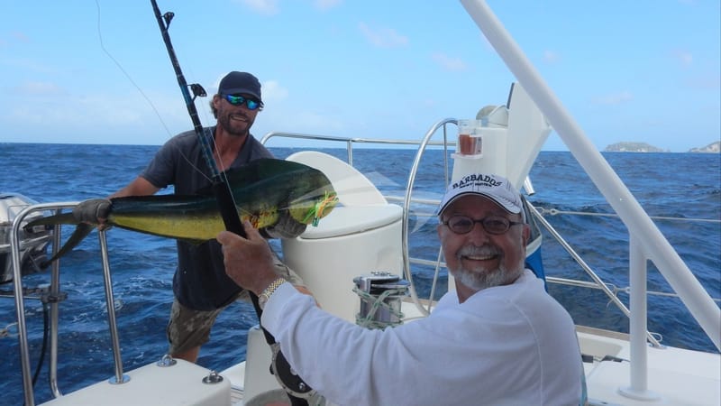 GENESIS Fresh Catch of the Day