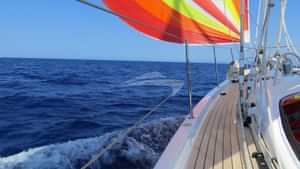 Yacht Charter SPIRIT With Worth Avenue Yachts