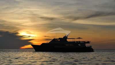 Sunset Profile