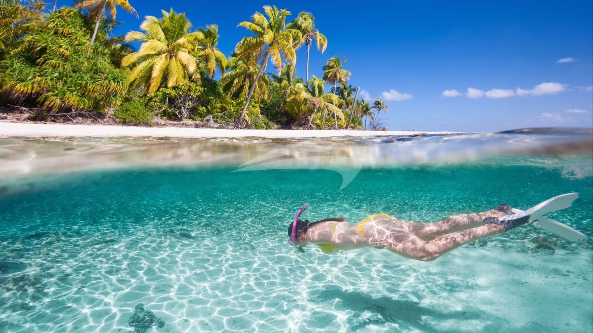 All the snorkeling you can imagine