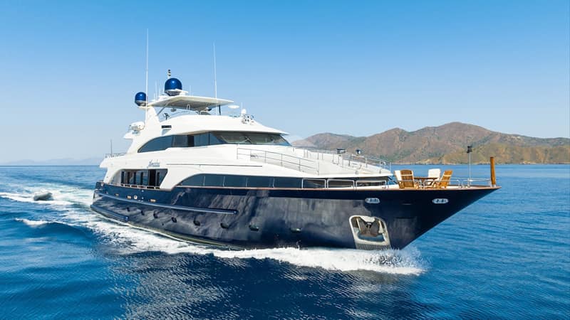 AMADEA, Motor