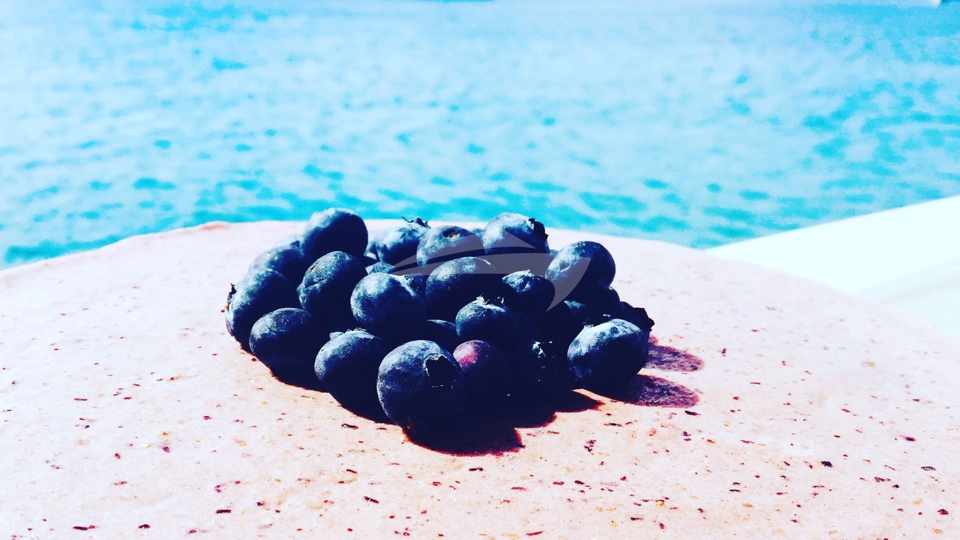 Blueberry Cheesecake