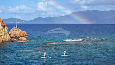 Stand Up Paddle Boards