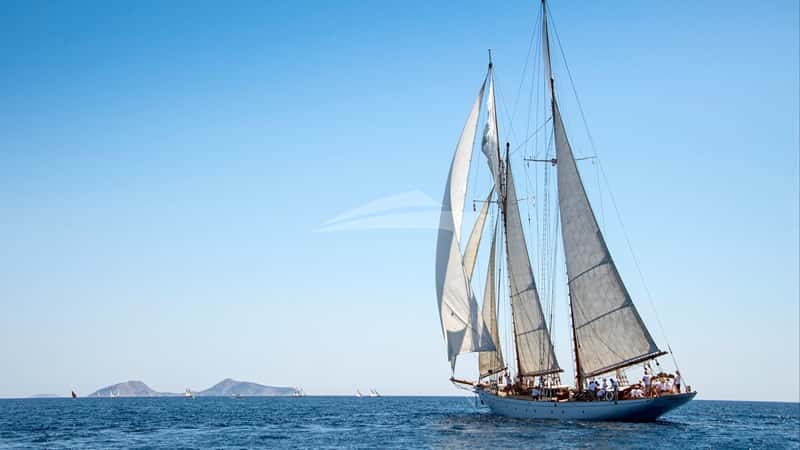 PURITAN 38m sailing yacht charter, photo 6