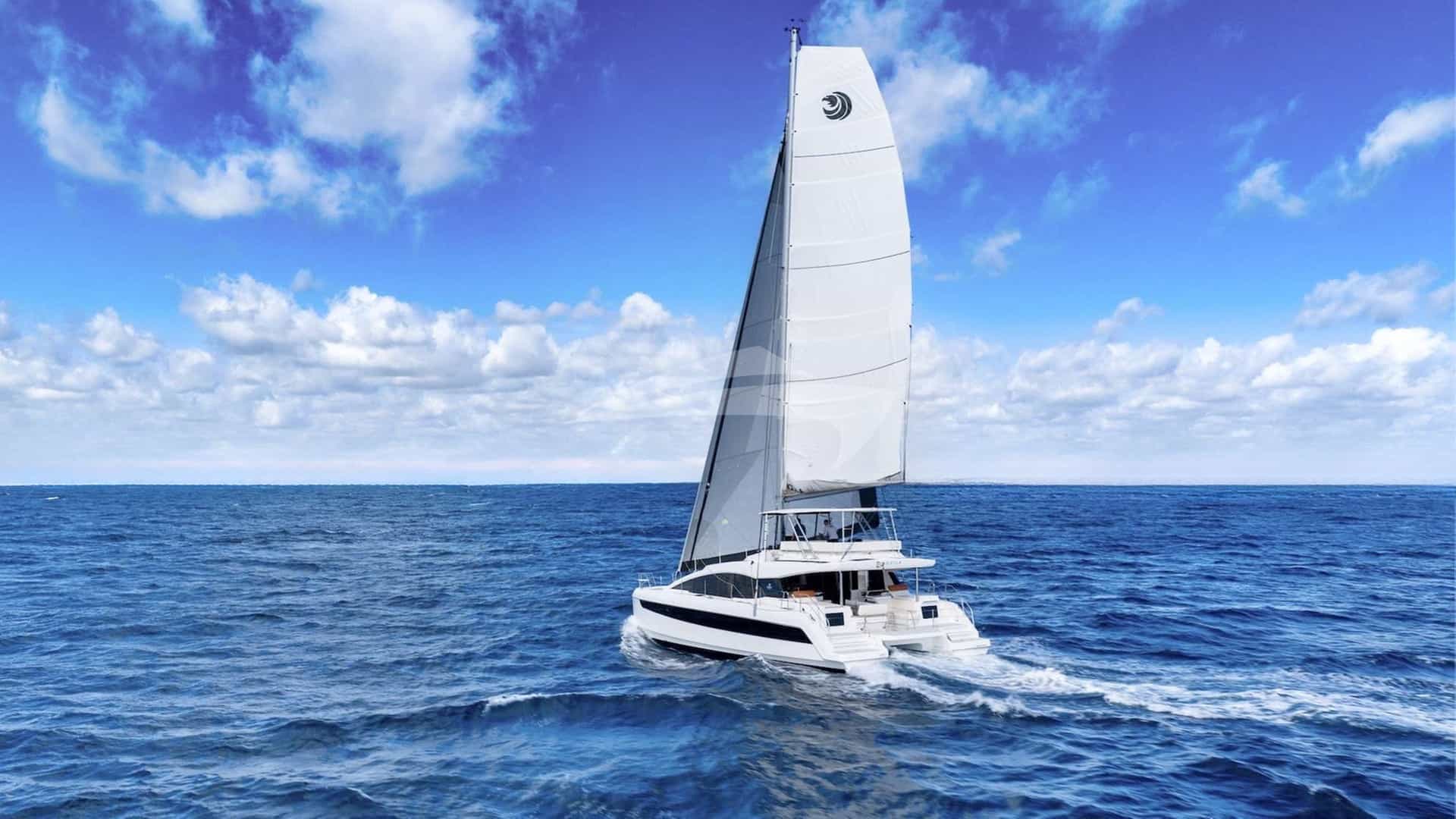OCEAN KITTY 1