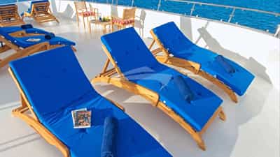 Sun Loungers