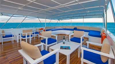 Top deck