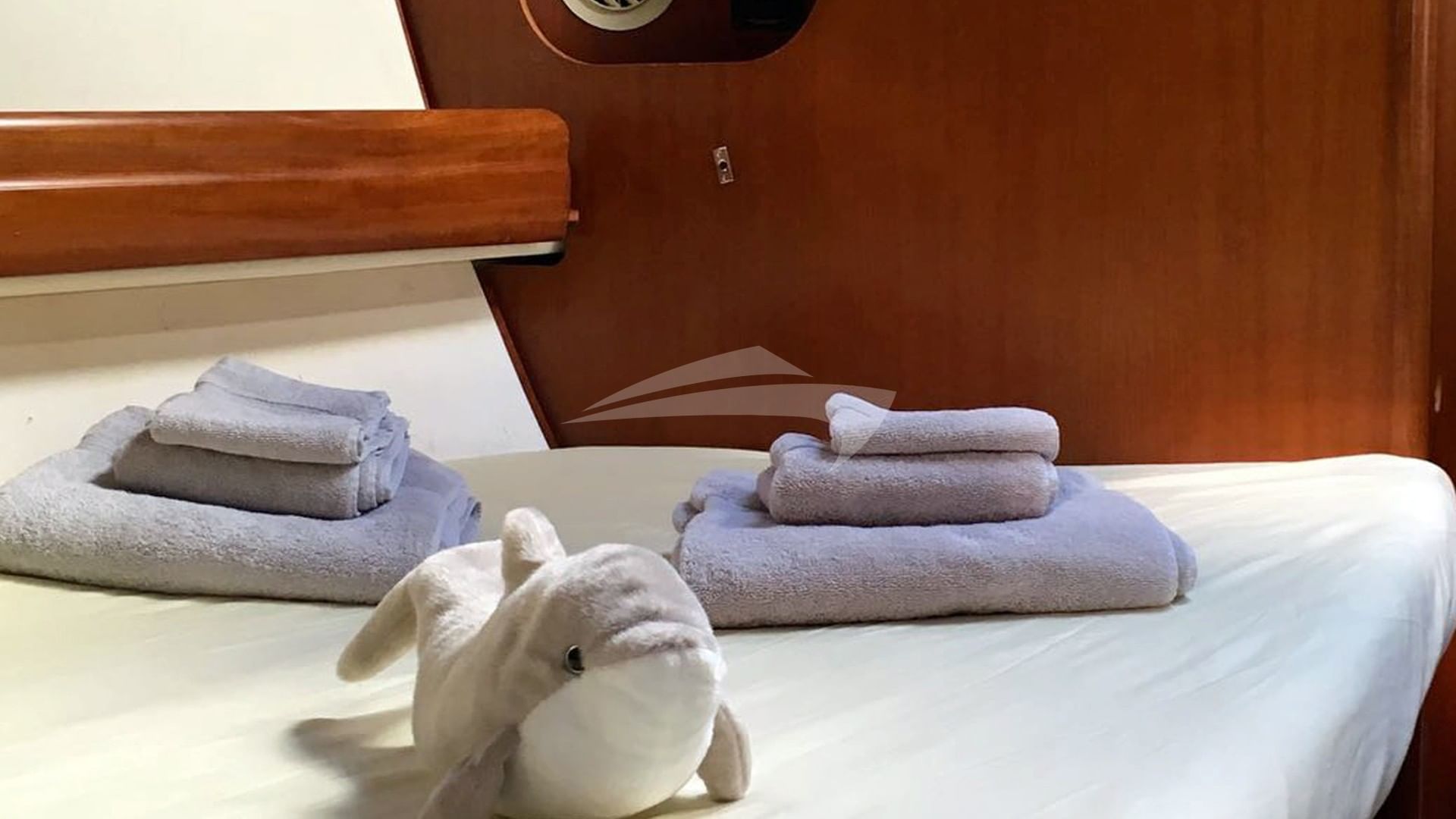 Forward Dolphin Cabin