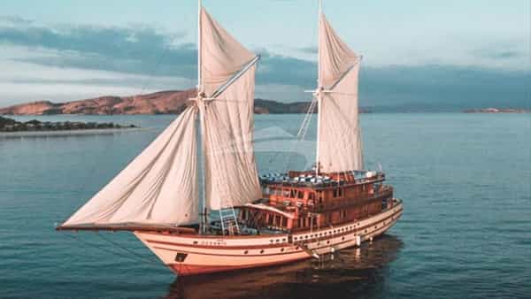 THE MAJ OCEANIC