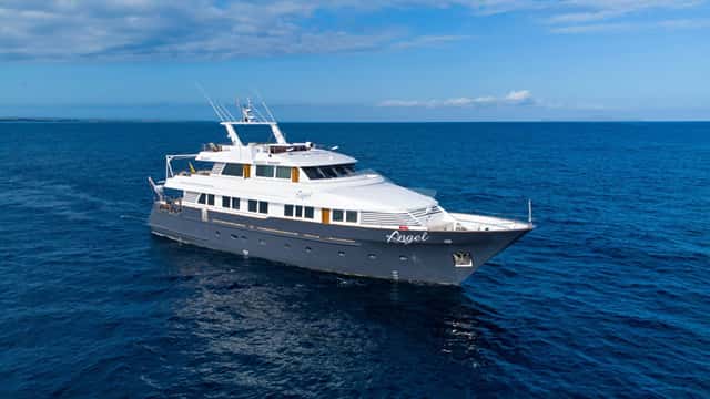 GALAPAGOS ANGEL yacht charter photo 3