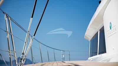 TWIN (1)