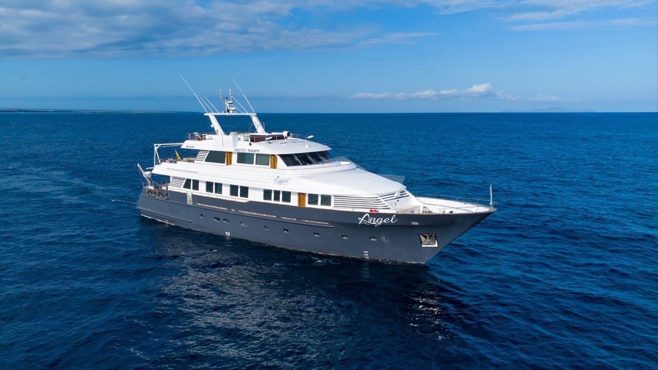 GALAPAGOS ANGEL