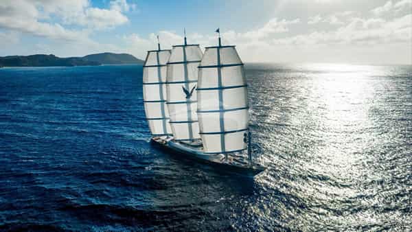 MALTESE FALCON