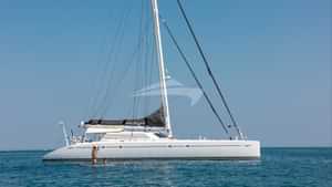 MAGIC CAT - Exterior