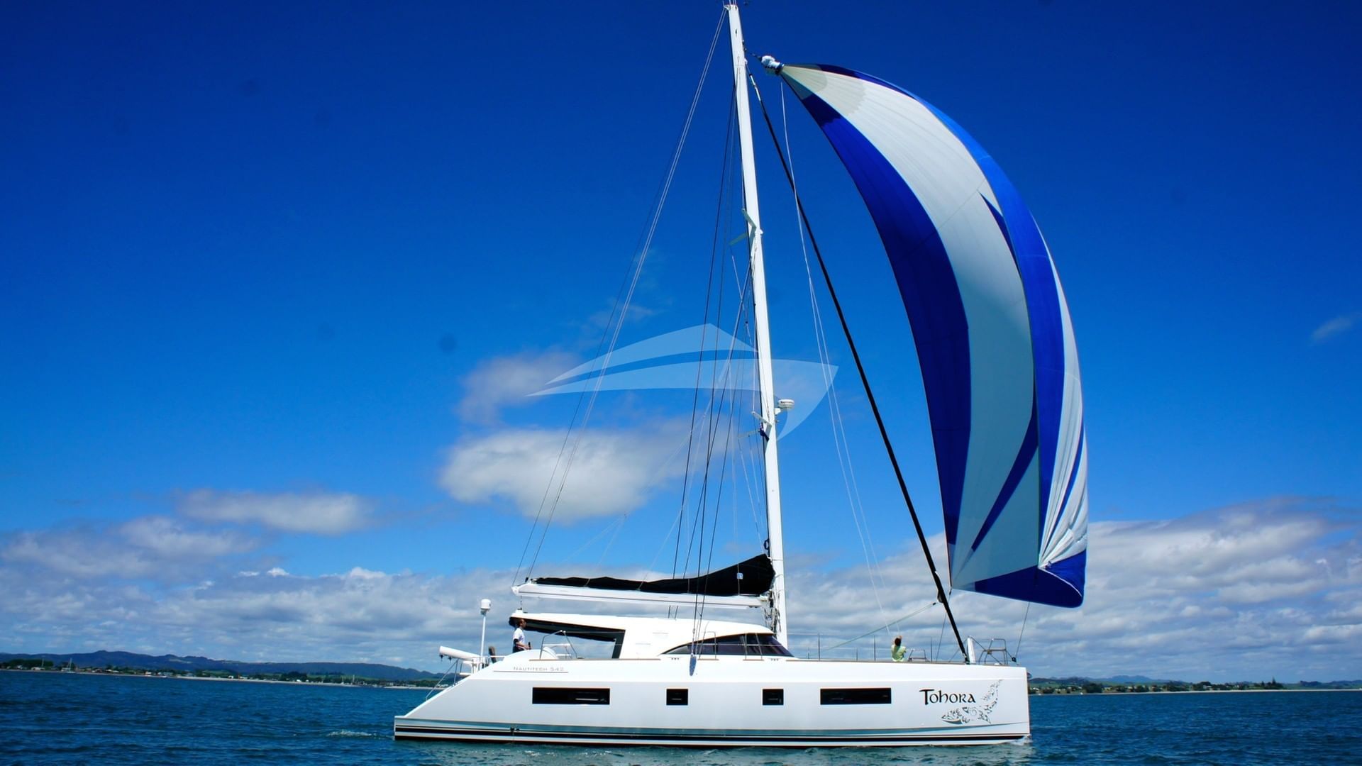 spinnaker sailing for downwind angling