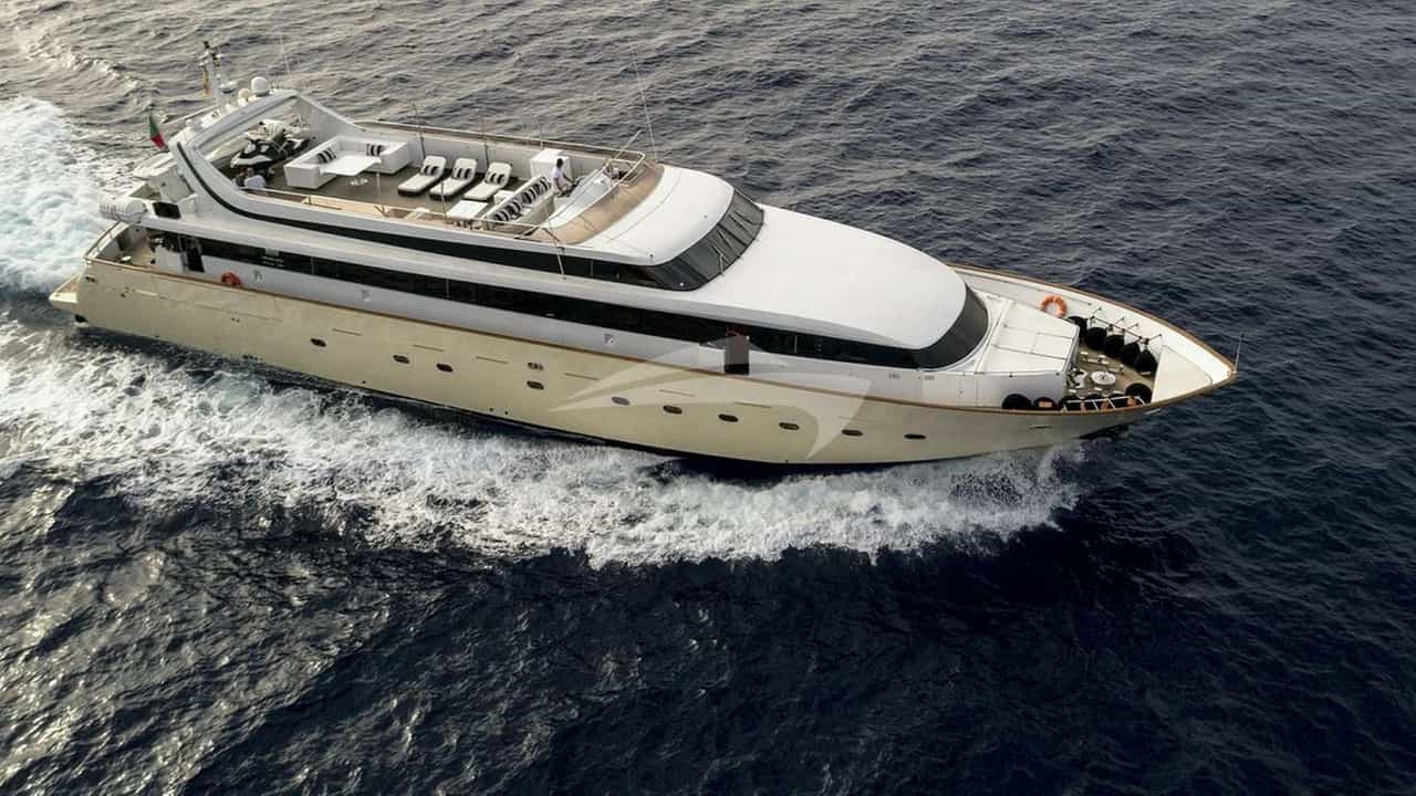 PAULA III
