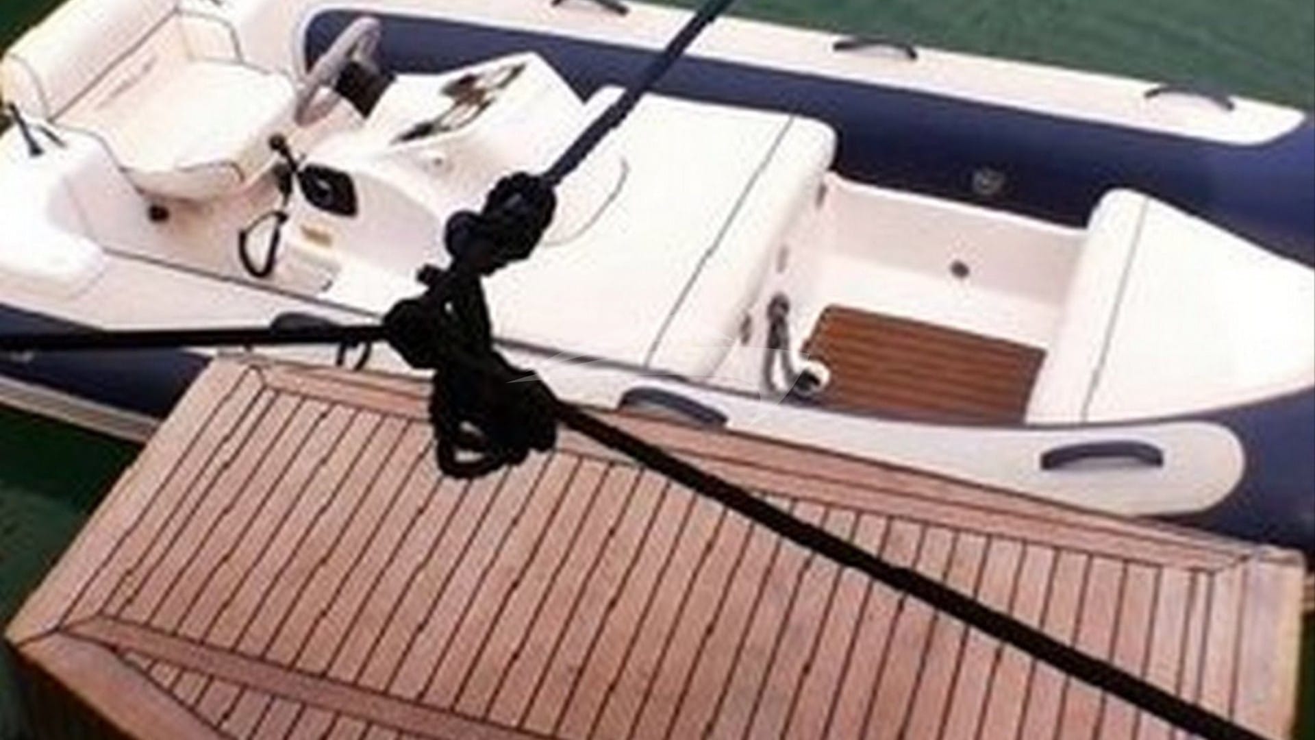 Swim Platform and Tender