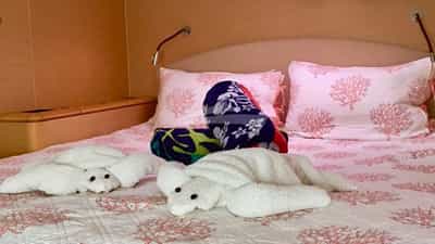 Guest Cabins